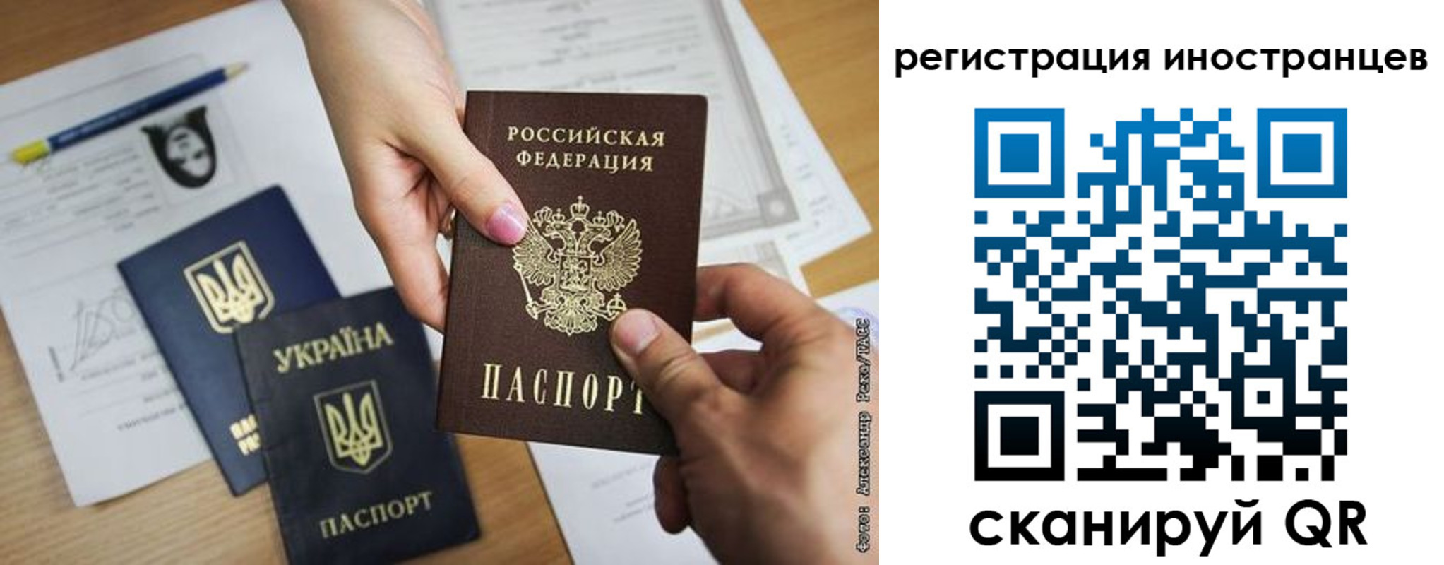 регистрация для школы в Палласовке